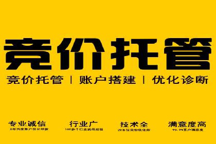 某电商平台的SEM代运营策略解析